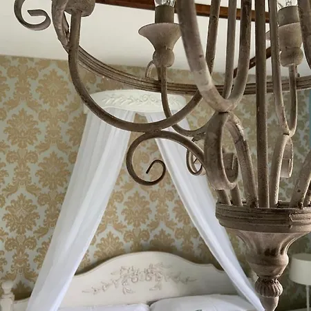 Sycamore Guest house *