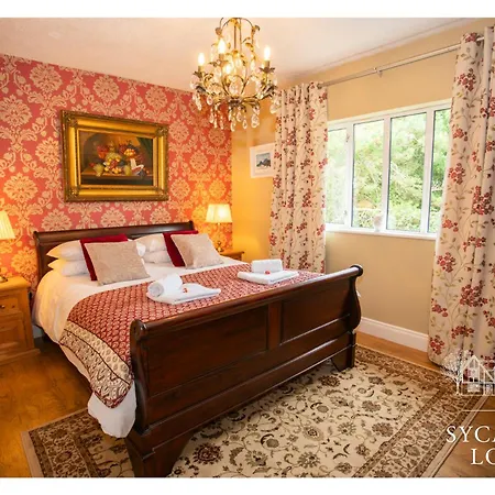 Sycamore בית הארחה