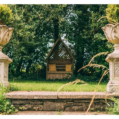 Sycamore בית הארחה 3*