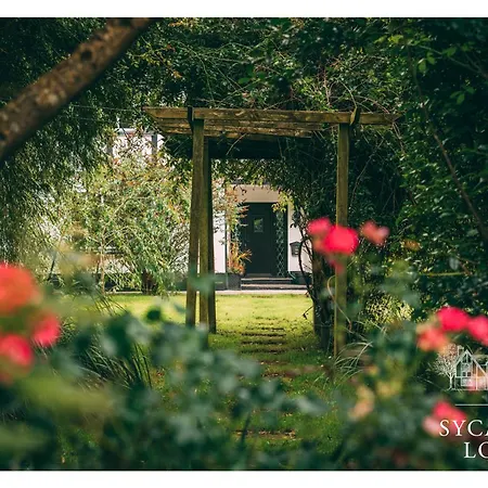 Pensionat Sycamore 3*