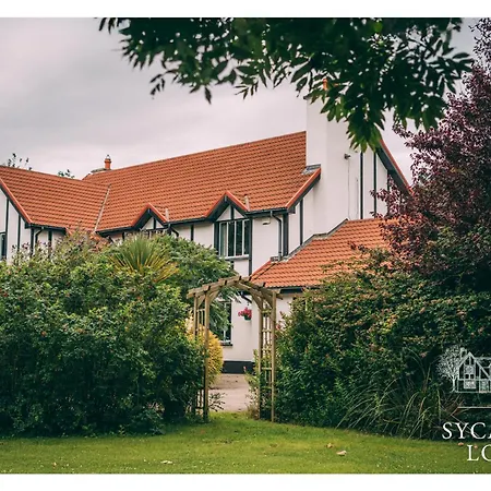 Sycamore 3* קילקי