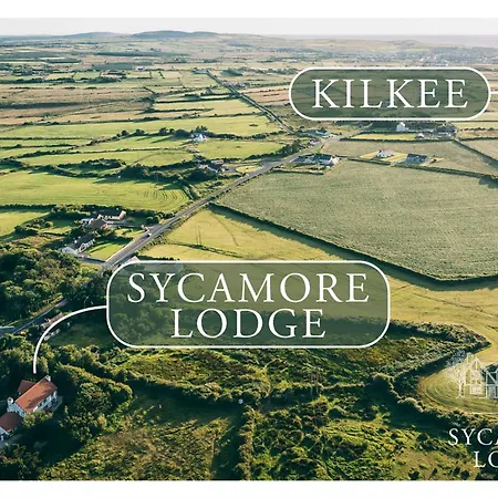 Sycamore
