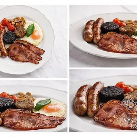 Pensionat Sycamore Kilkee