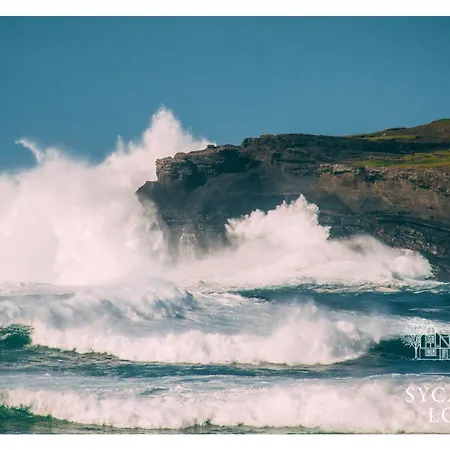 Pensionat Sycamore 3*