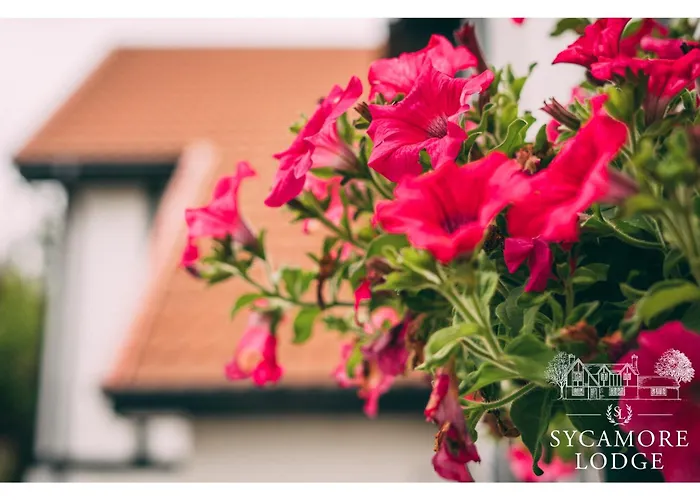 Sycamore Vendégház 3*