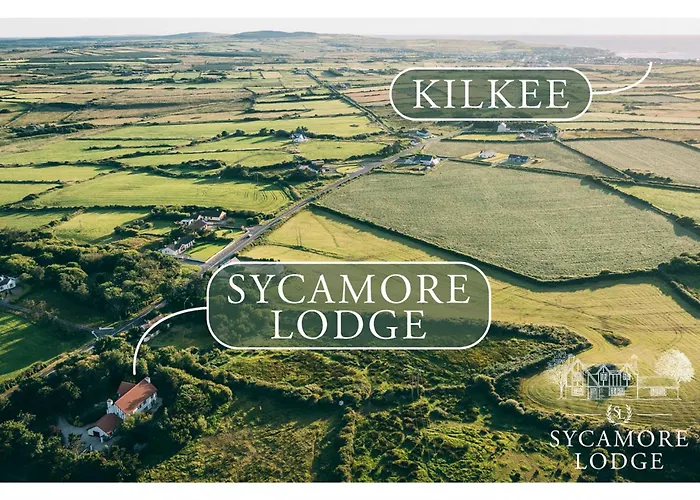 Sycamore