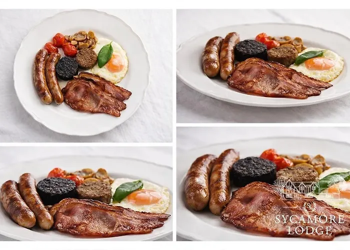 Vendégház Sycamore Kilkee